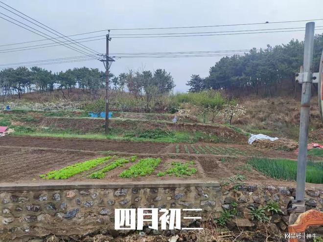 ”蛇年蛇月蛇日蛇时相聚首4件大事别忘了做pg电子免费模拟器游戏四月初三是“吉日(图2)
