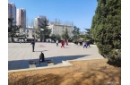 ”蛇年蛇月蛇日蛇时相聚首4件大事别忘了做